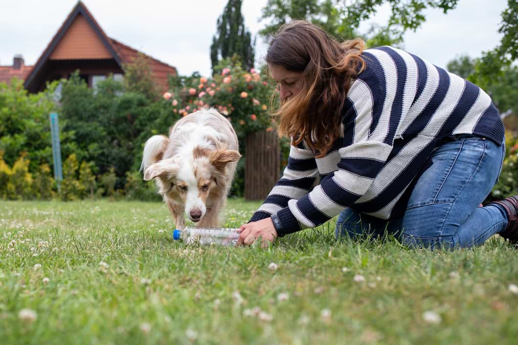 Training mit geräuschempfindlichen Hunde