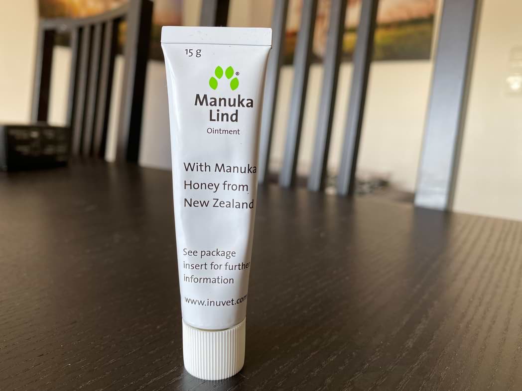 Hot Spot beim Hund Ursache, Symptome und Behandlung