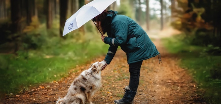 Beschäftigungsideen mit Regenschirm für Hunde