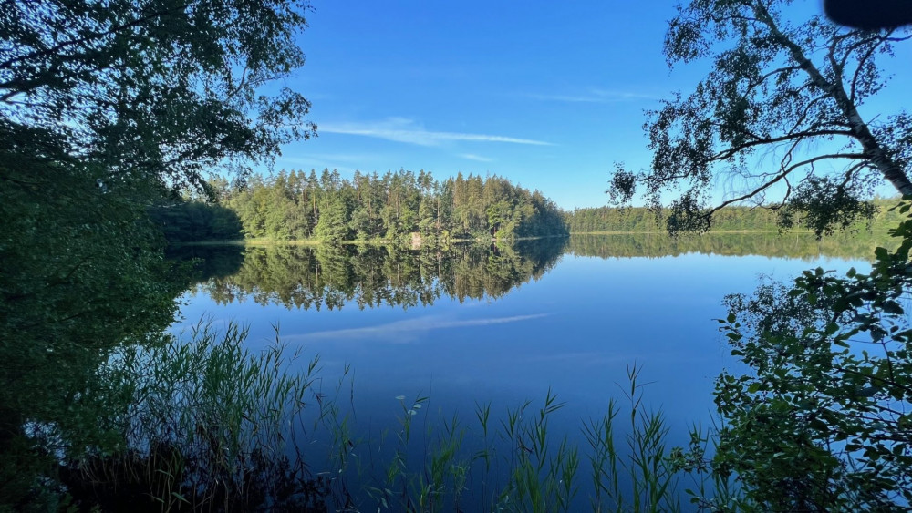 Urlaub mit Hund in Südschweden Långasjönäs