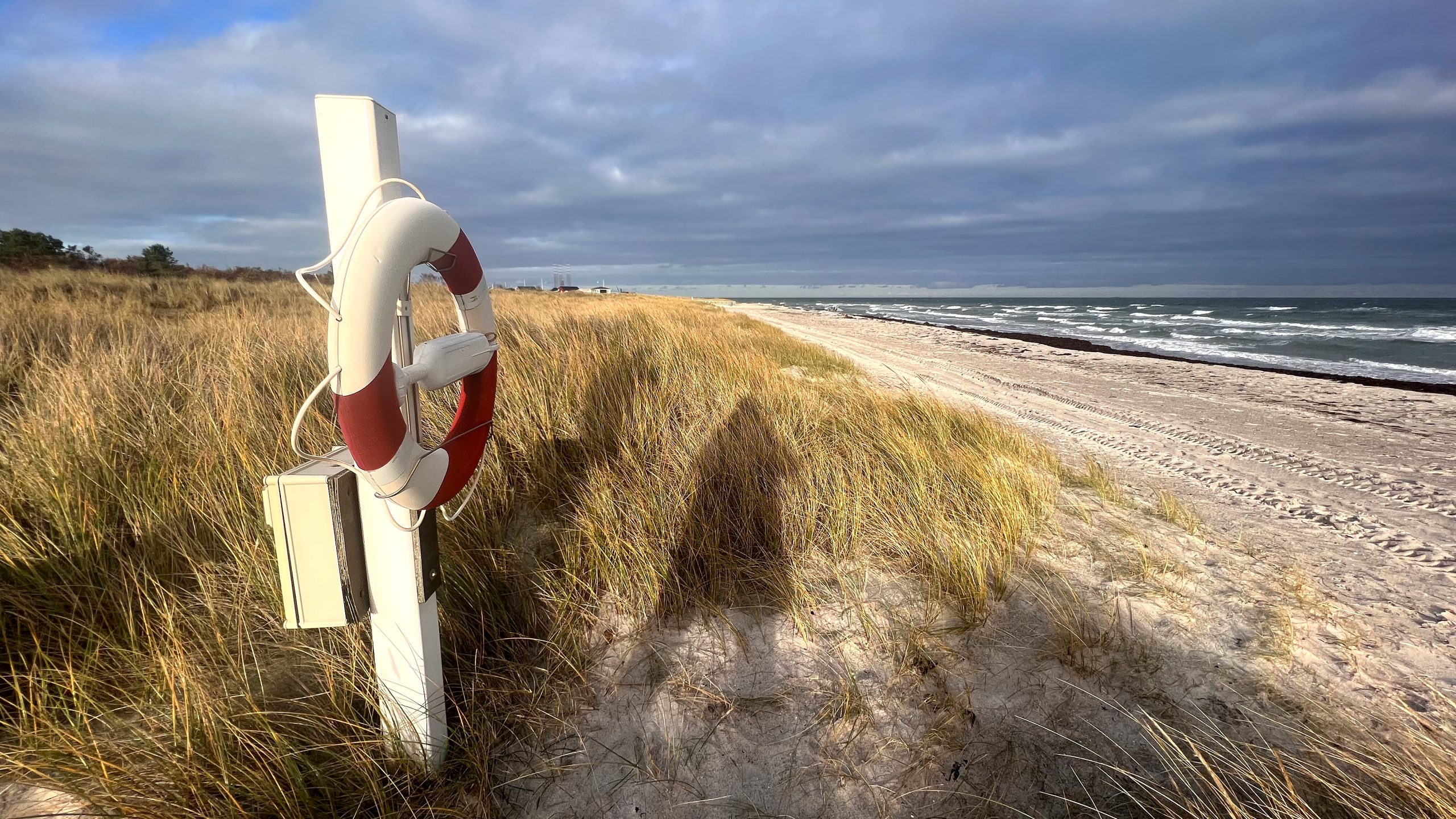 Urlaub an der dänischen Ostsee mit Hund Grenaa
