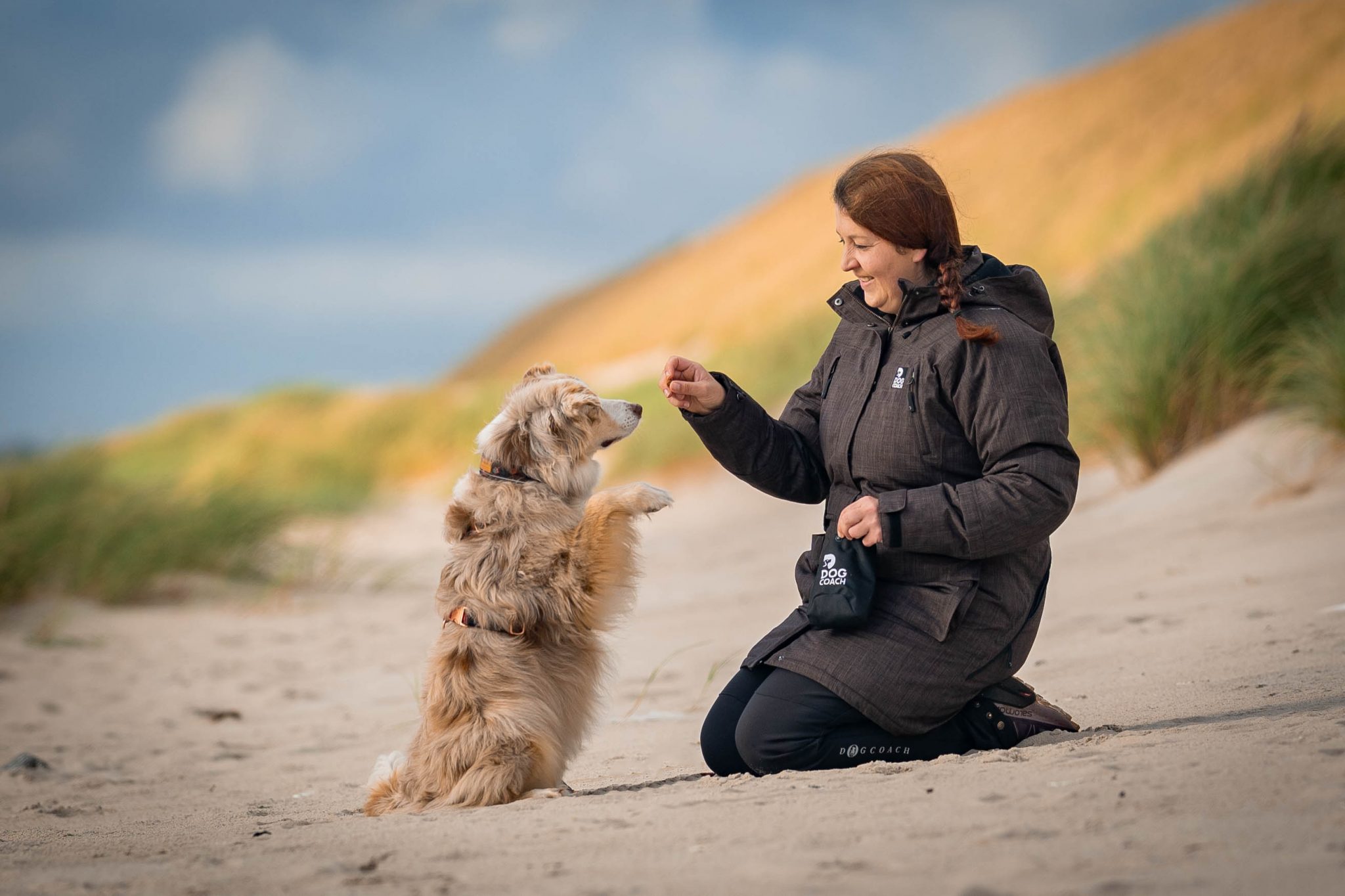 Nebenwirkung Von Cortison Beim Hund sleepherds.de