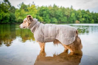 Bademäntel für Hunde Test Erfahrungen Meinungen