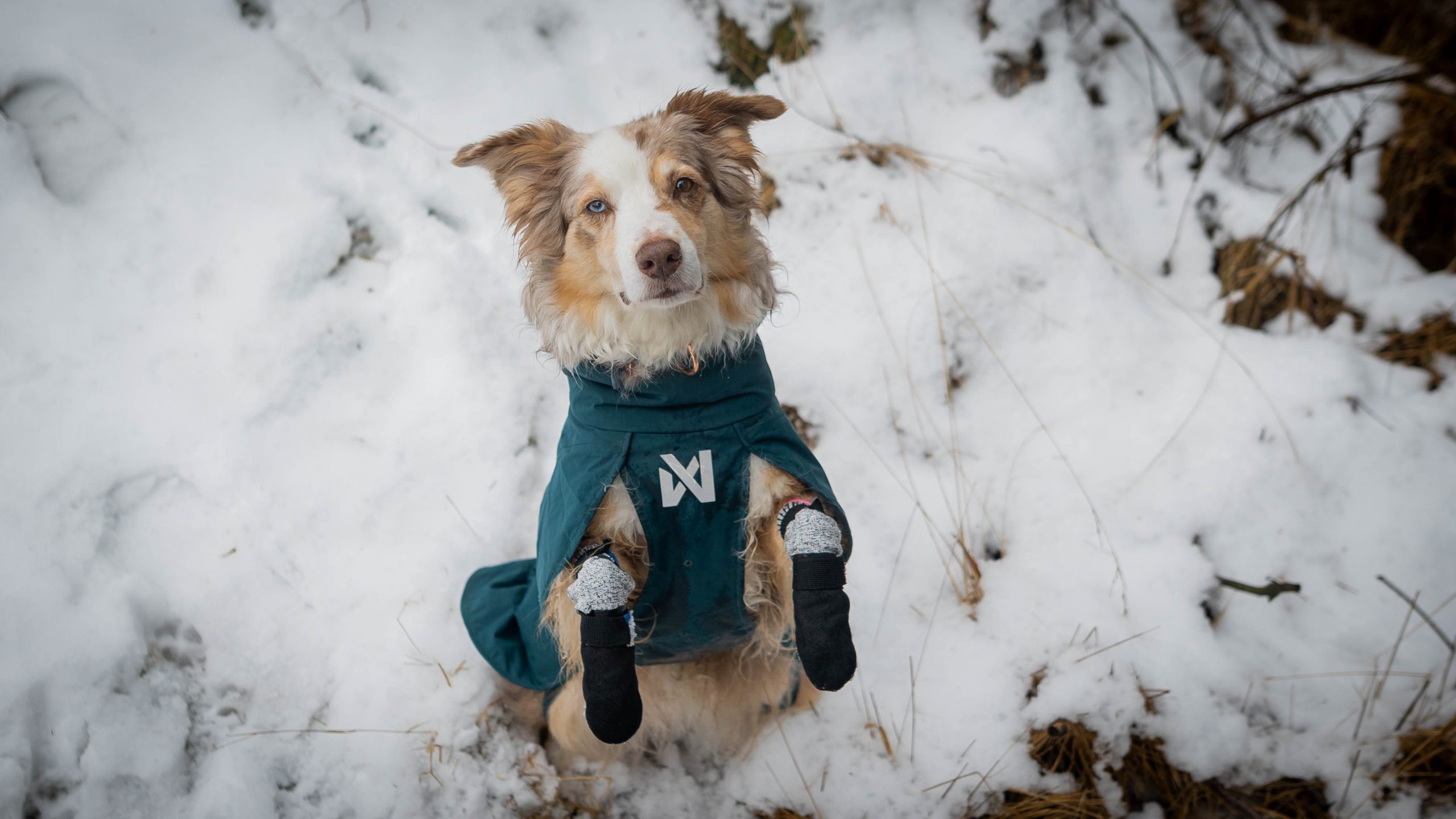 Hundebooties VIP Rubber high