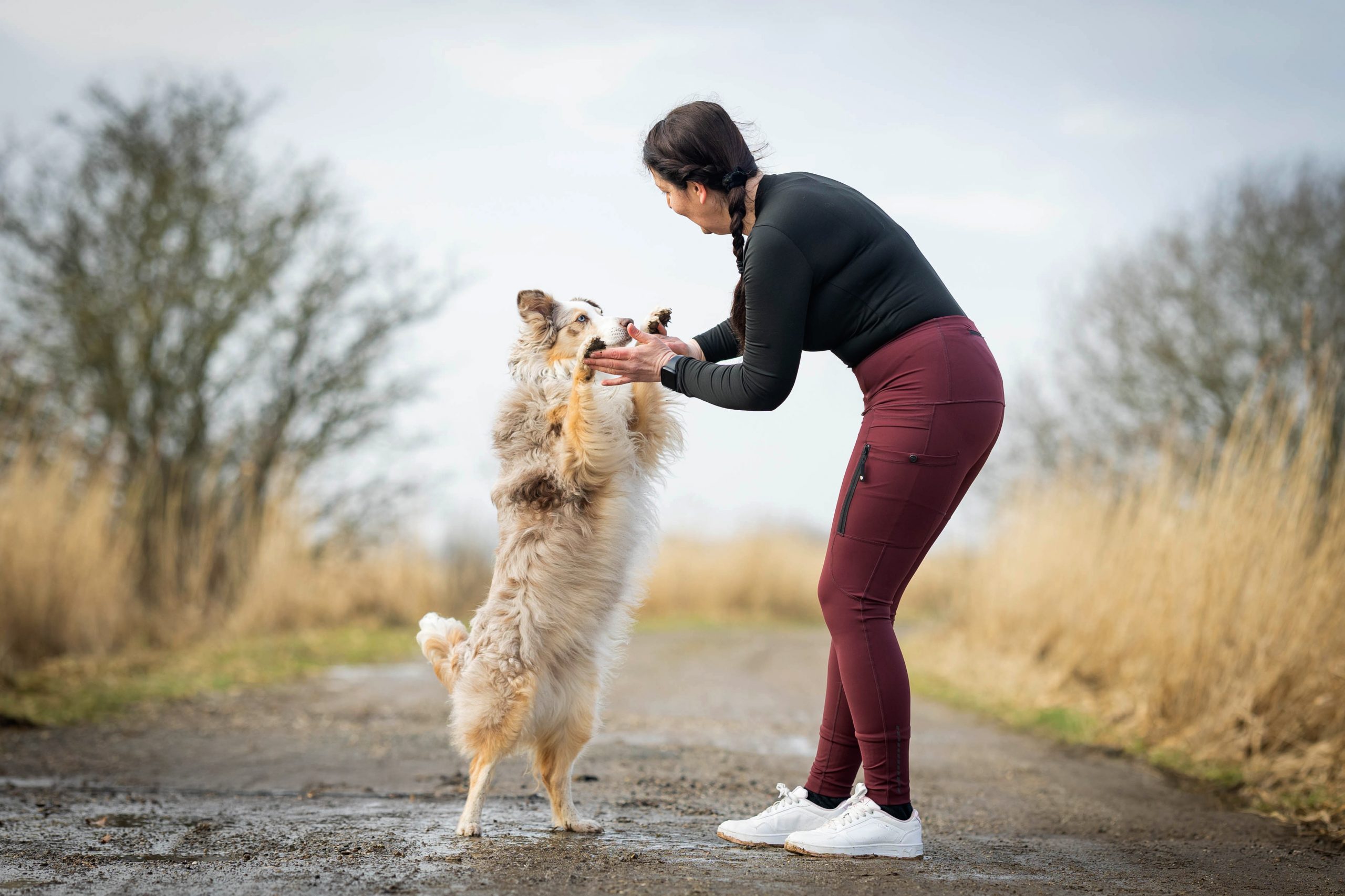 Multifunktionale Kleidung für Hundehalter Tights DogCoach