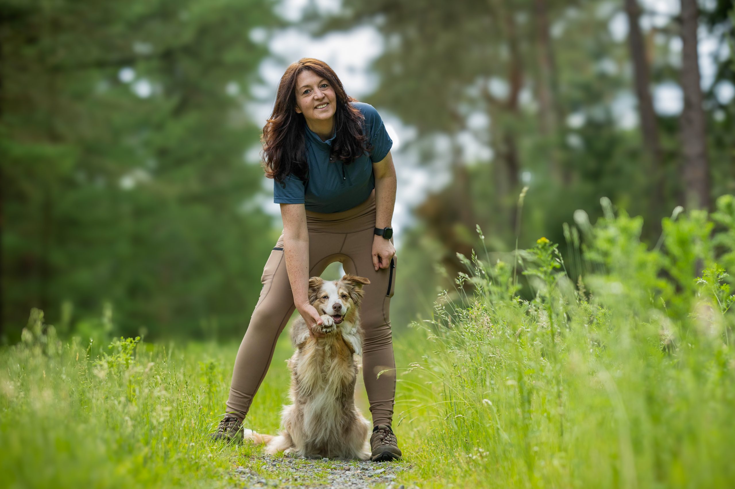 Sozial motivierter Hund