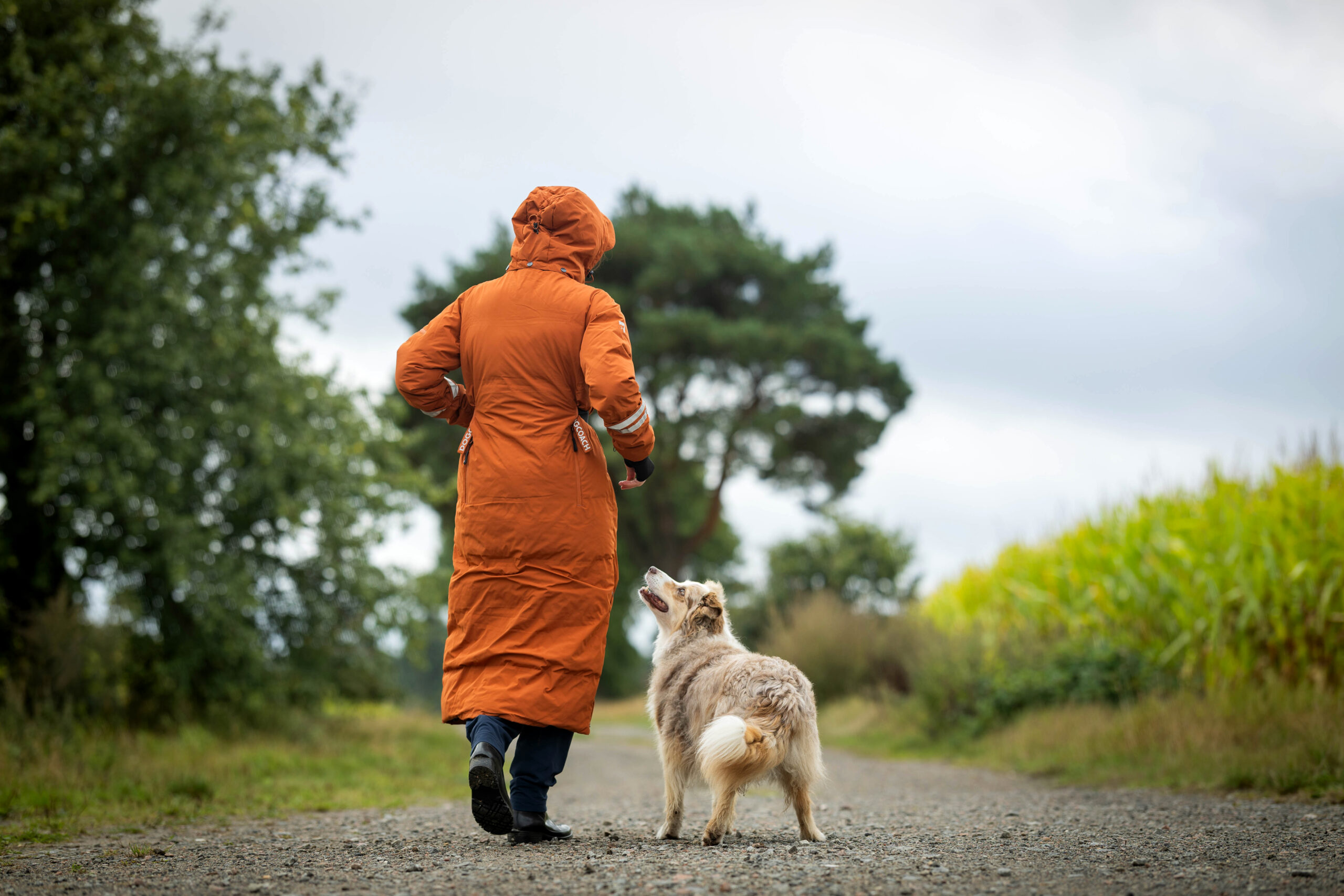 AW26 LP KeepDry Mantel 2.0 Erfahrungen DogCoach