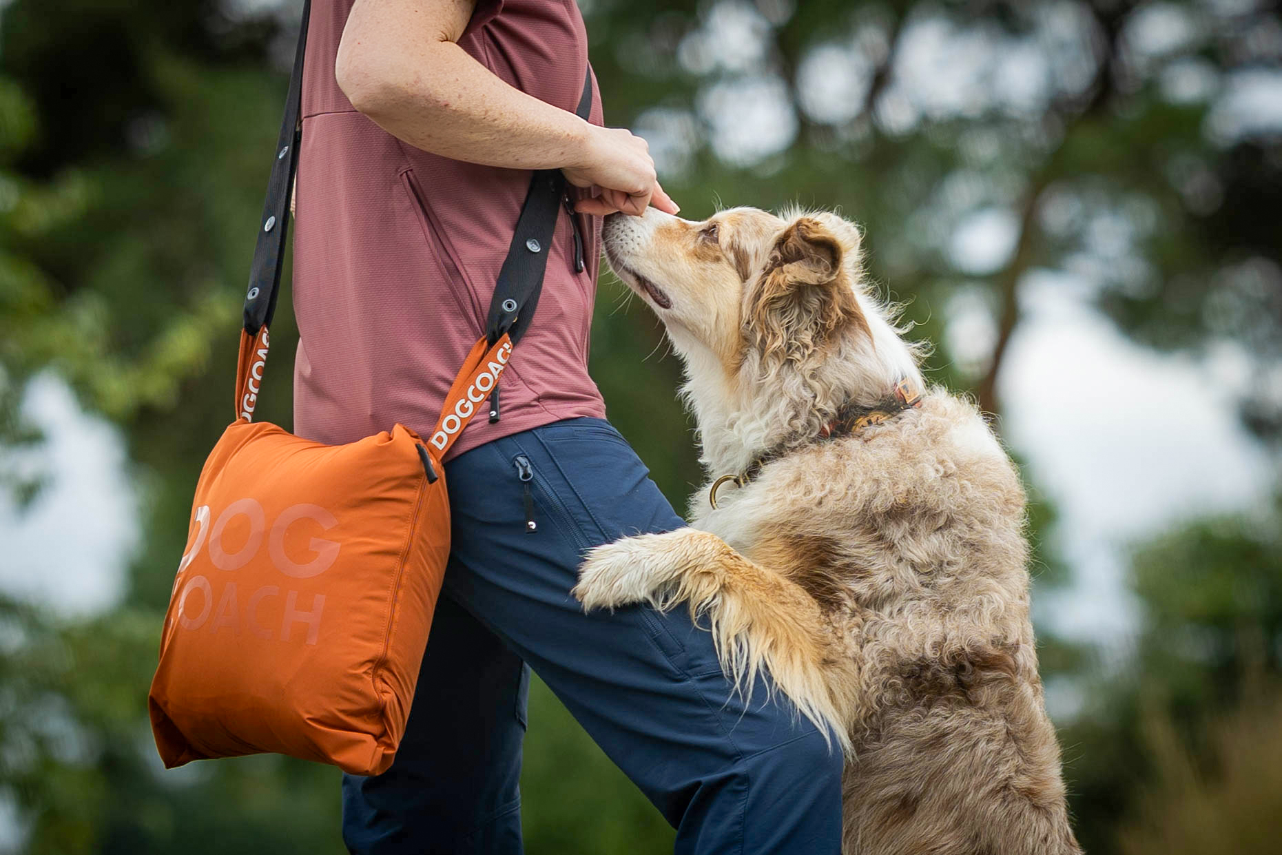 AW26 LP KeepDry Mantel 2.0 Erfahrungen DogCoach