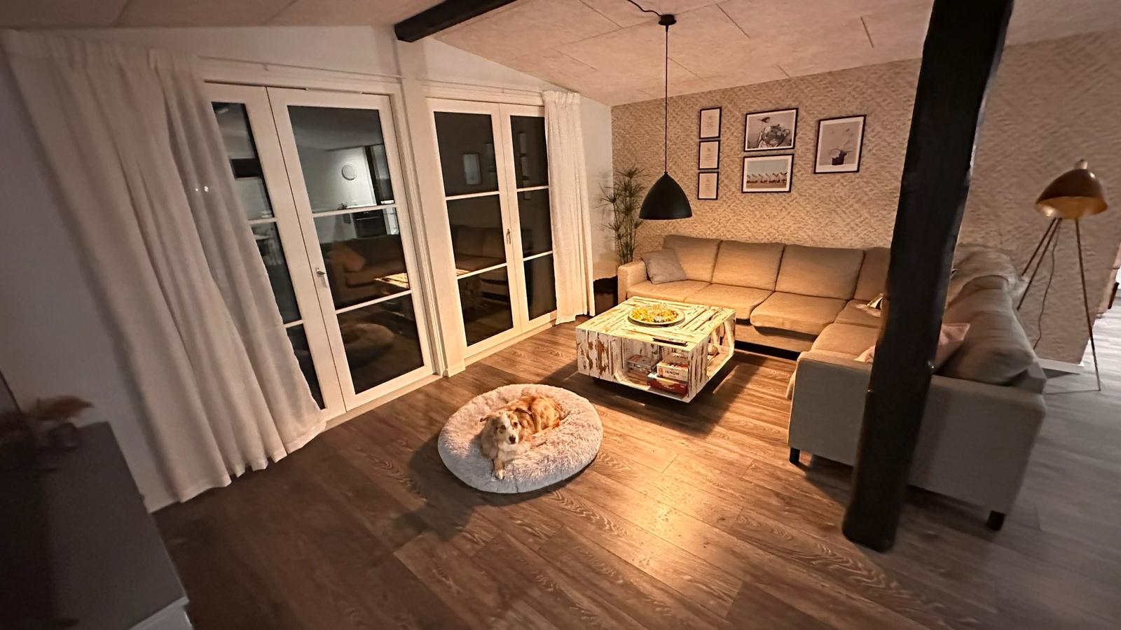 Falster und Umgebung Ferienhaus